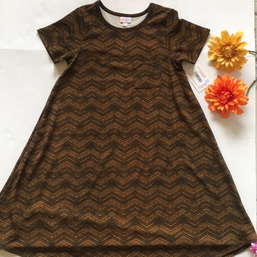⭐️NWT XXS Lularoe Carly Swing Dress🌞